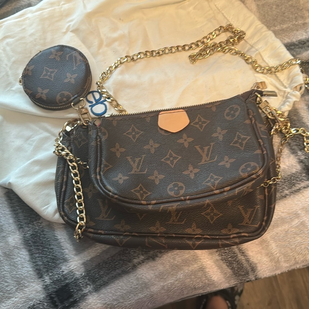 Louis Vuitton chain link purse with coin purse